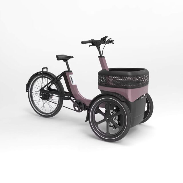Van Raam Thuja Elektrische Driewielfiets
