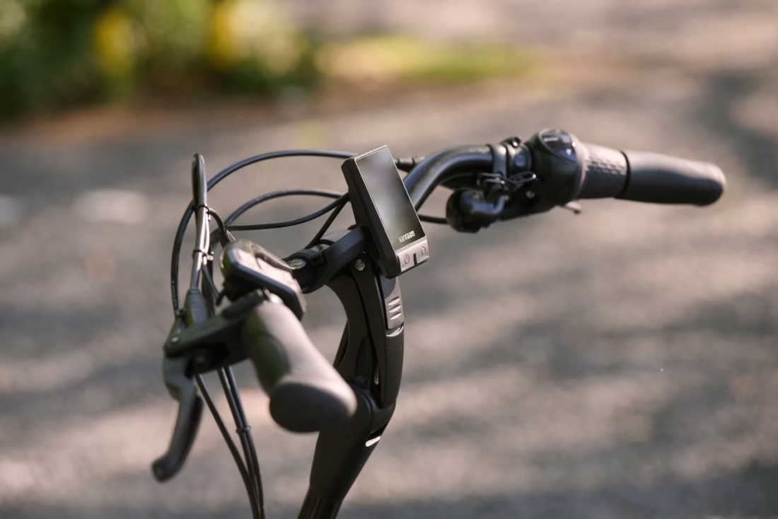 Van Raam Balance Lage Instap Fiets